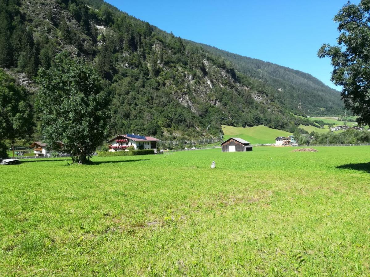 Schlatterhof Apartment Нойщифт им Щубайтал Екстериор снимка